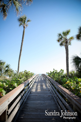 Best Longboat Key Club Wedding photographer - Sandra Johnson (SJFoto.com)
